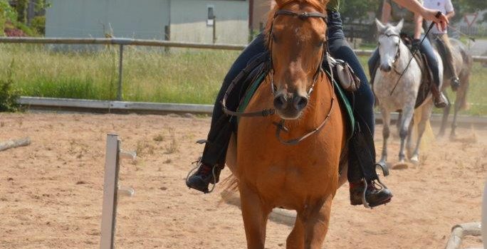 09.05./10.05.2026 “Ohne Balance ist alles nichts!” Reitkurs mit Bettina Schürer